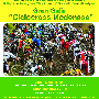 Volantino Gran Galà Ciclocross Modenese